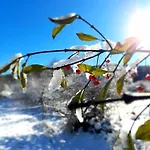 Stara Hiza Vakantiehuis